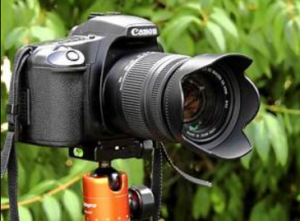 Shutter Magic: Unveiling the Wonders of DSLR Cameras" - ElecGlaxy